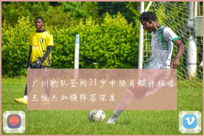 广州豹队签约31岁中场肖鲲并租借王俊杰加强阵容深度