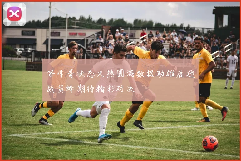 字母哥状态火热圆满数据助雄鹿迎战黄蜂期待精彩对决