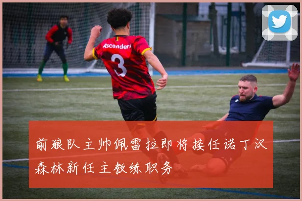 前狼队主帅佩雷拉即将接任诺丁汉森林新任主教练职务