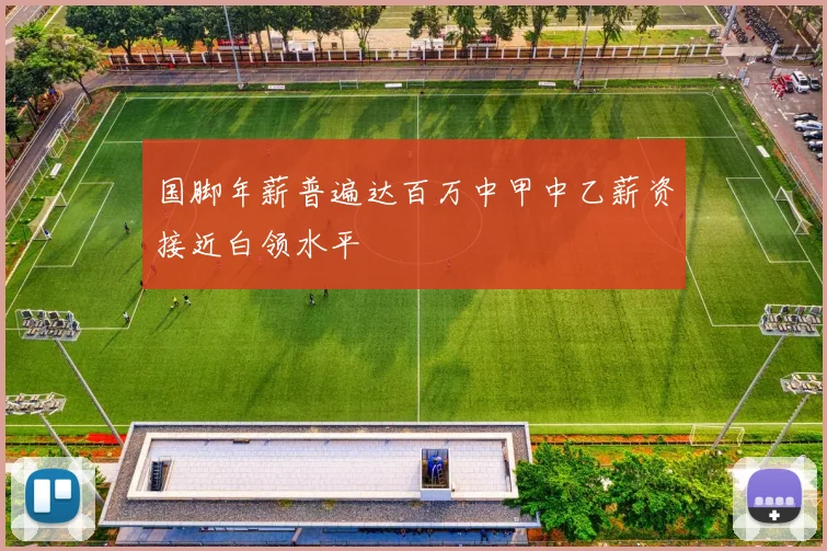 国脚年薪普遍达百万中甲中乙薪资接近白领水平