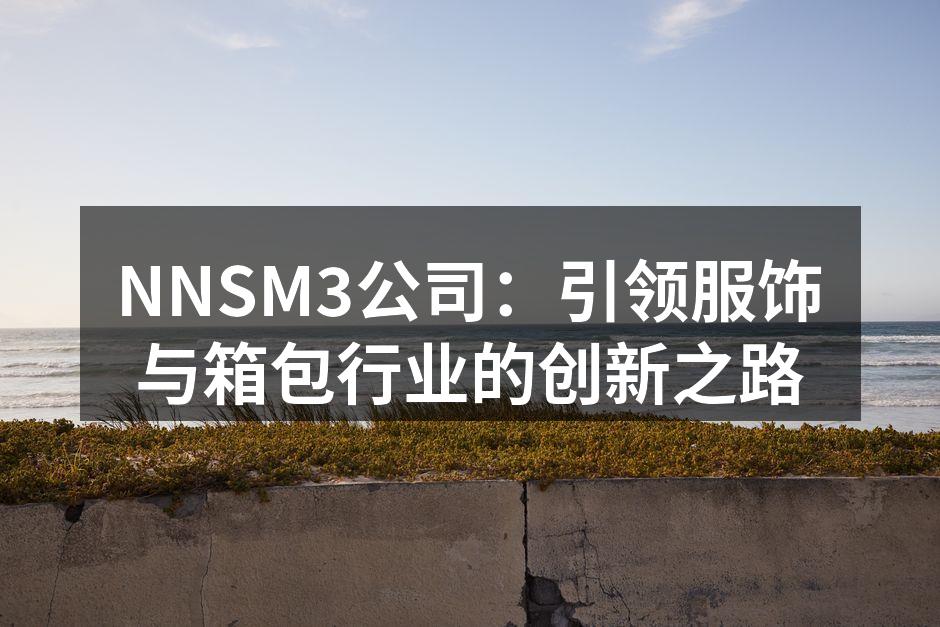 NNSM3公司新产品发布会现场